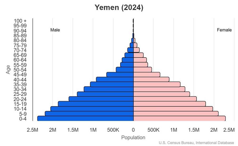 2024 population pyramid
