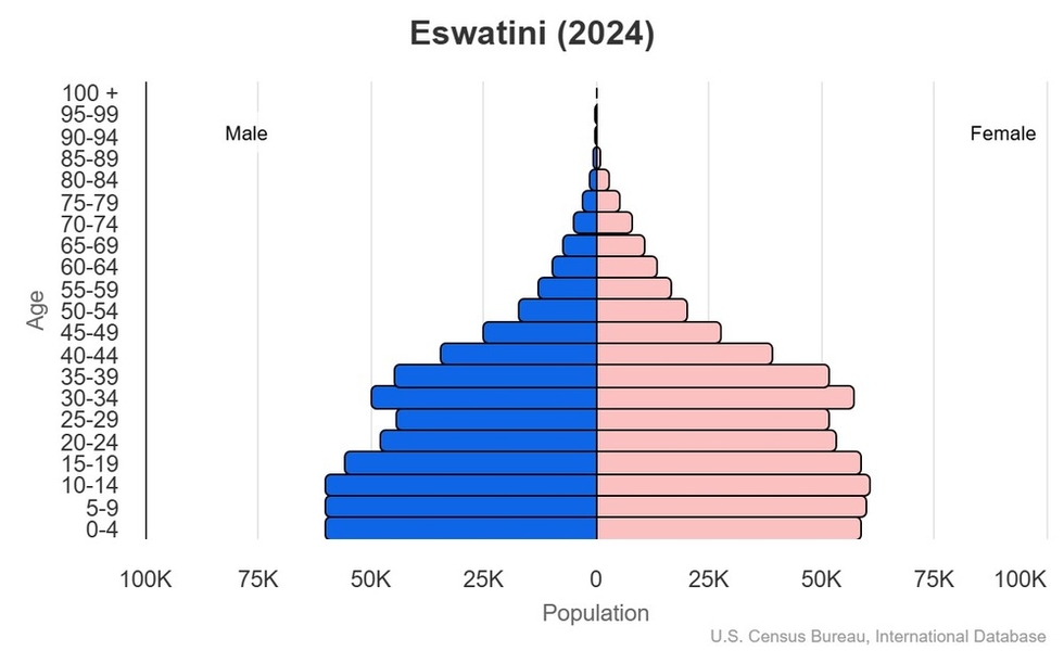 2024 population pyramid