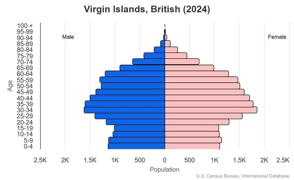 2024 population pyramid