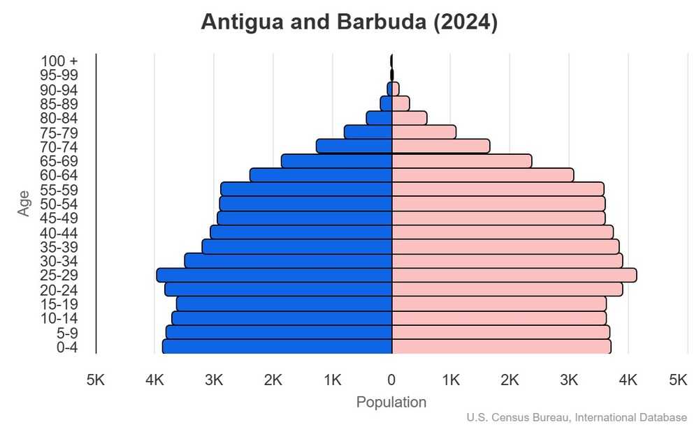 2024 population pyramid