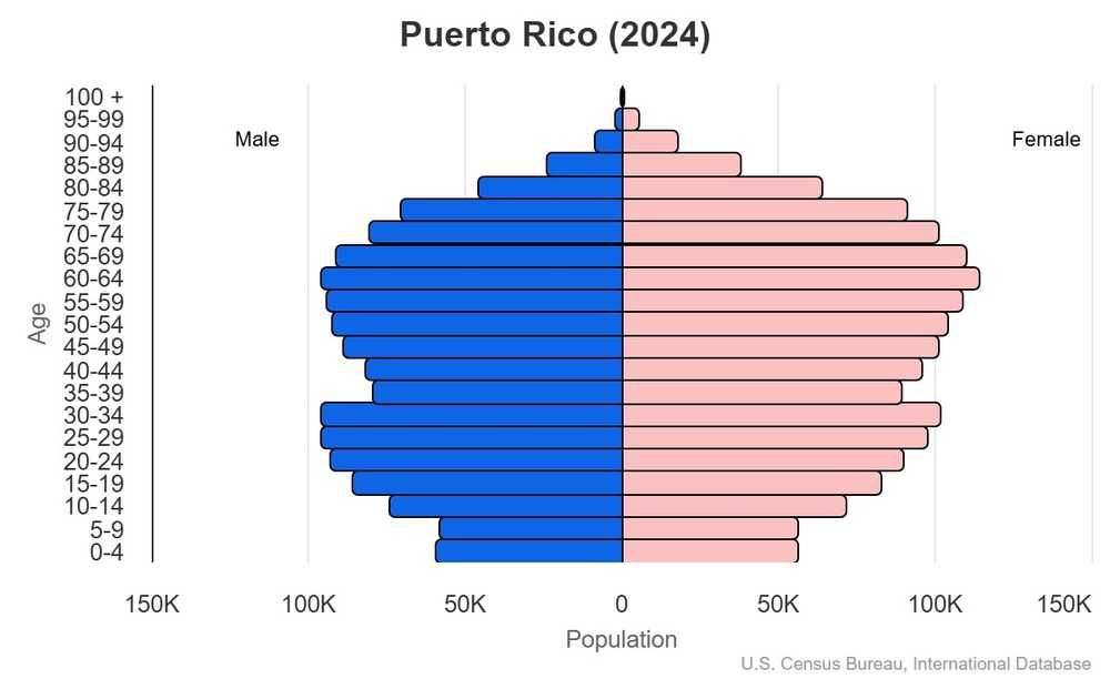 2024 population pyramid
