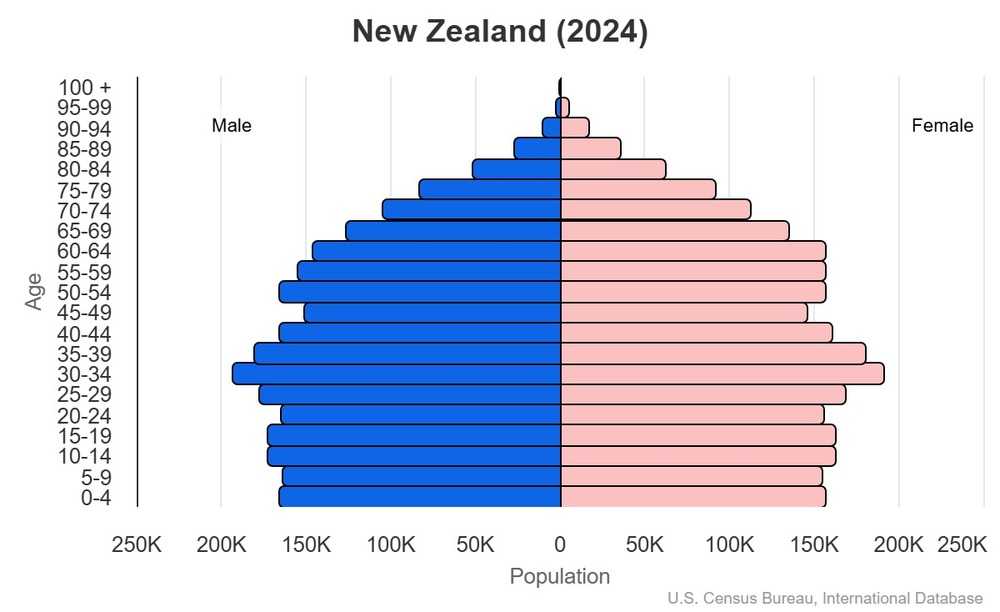 2024 population pyramid
