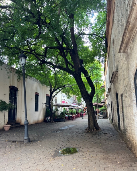 El Conde is a pedestrian-only street in the heart of Santo Domingo’s historic center. Restaurants and shops cater to the tourists and locals in the oldest part of the city.