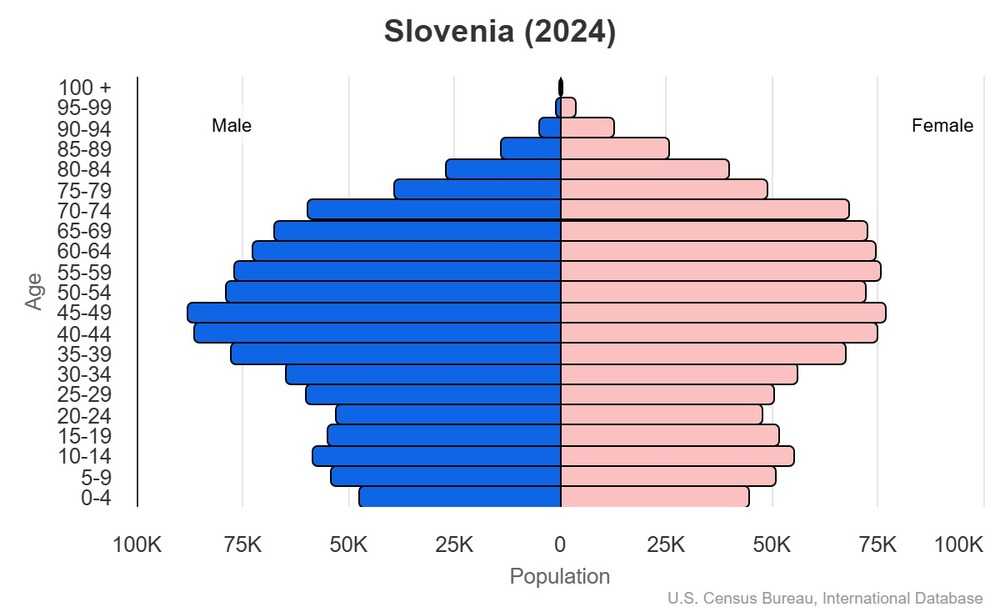 2024 population pyramid
