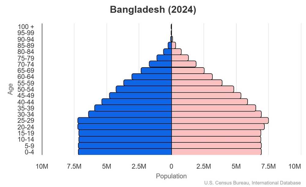 2024 population pyramid