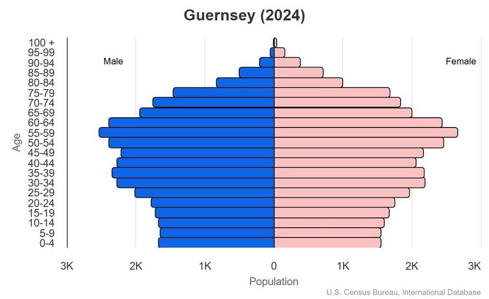 2024 population pyramid
