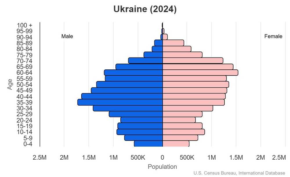 2024 population pyramid