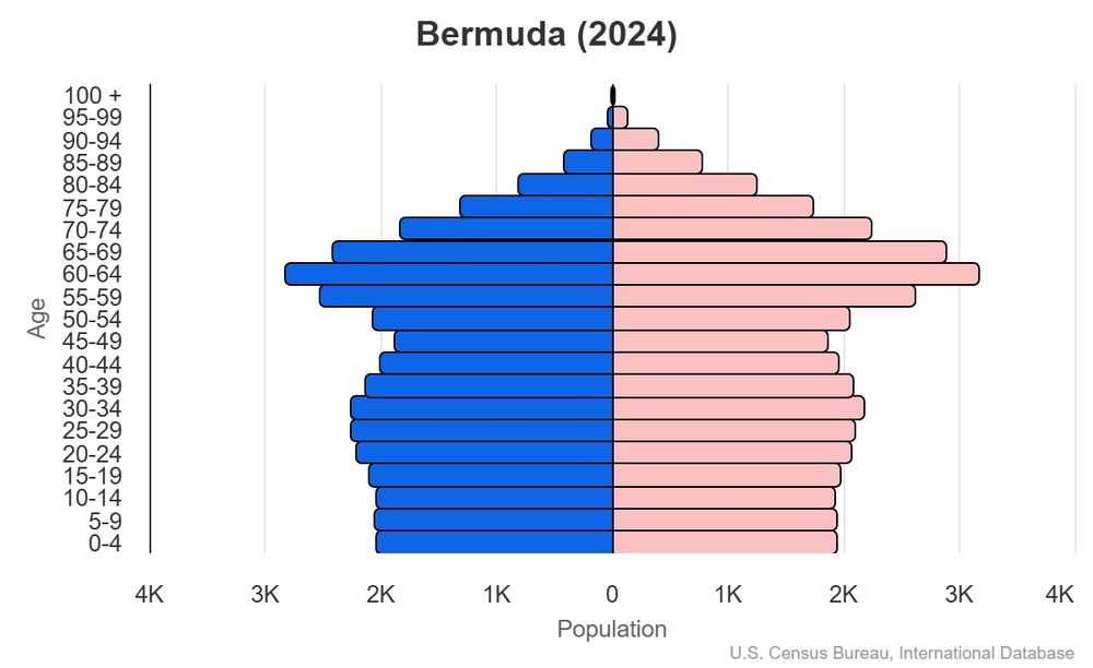 2024 population pyramid