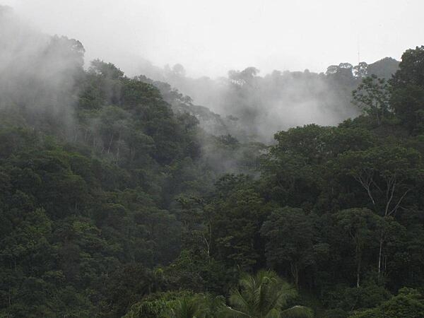 Mist rising over the rainforest near Gulfito on the Pacific coast near the border of Panama. This region is one of the wettest spots in the world.