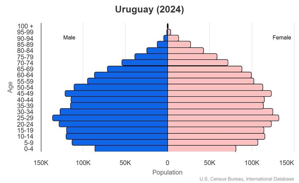 2024 population pyramid