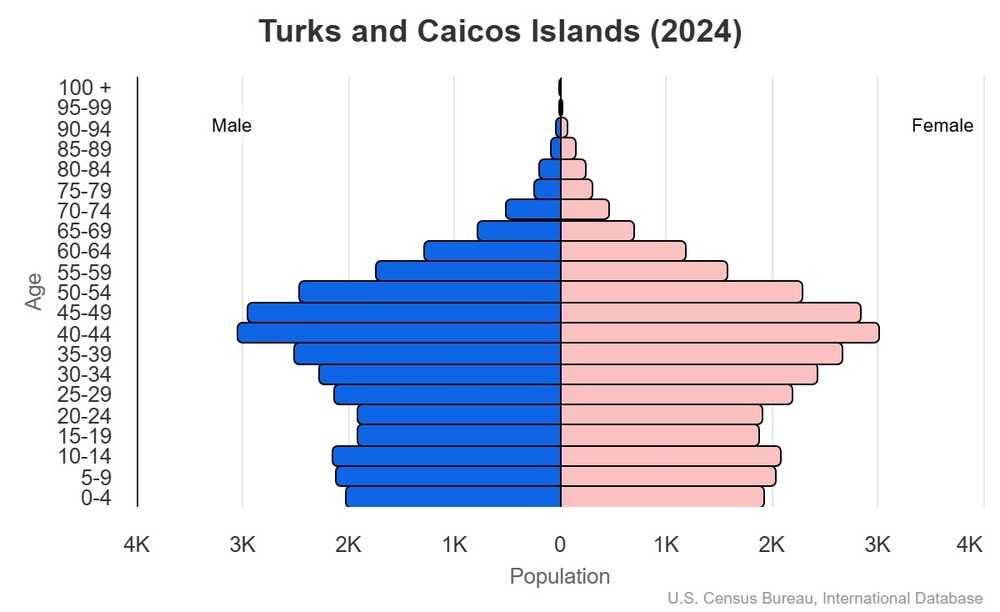 2024 population pyramid