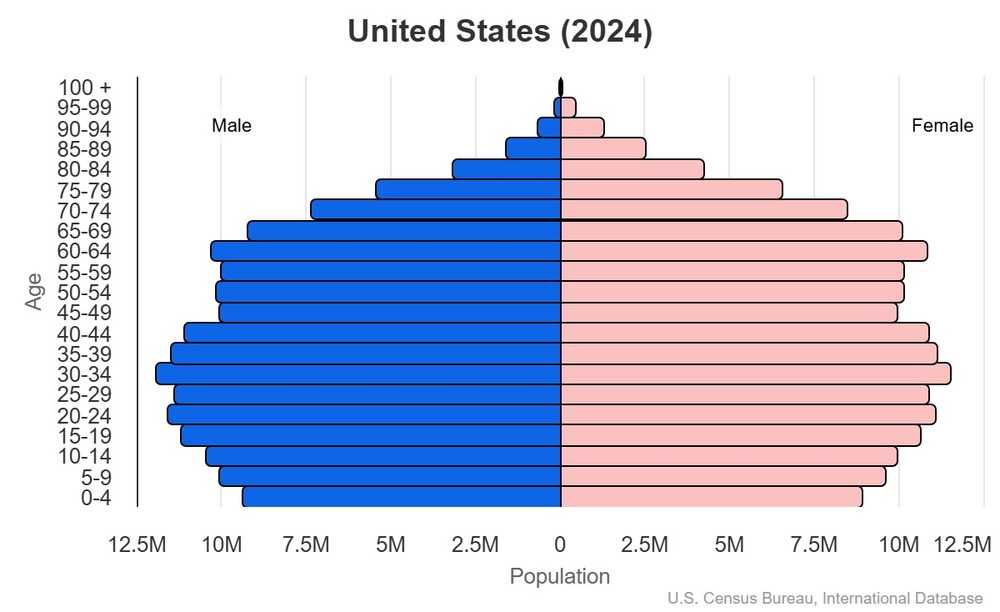 2024 population pyramid