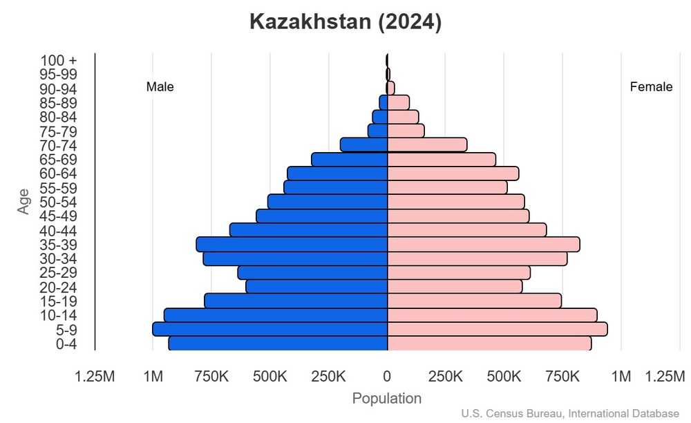 2024 population pyramid