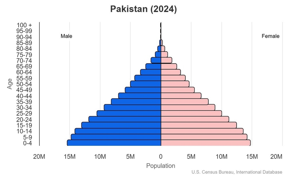 2024 population pyramid