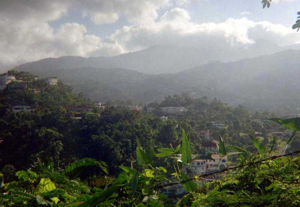 Jamaica’s Blue Mountains are the country’s longest mountain range and include Blue Mountain Peak, which is the island’s highest point at 2,256 m (7,402 ft). The area is home to Jamaican Blue Mountain coffee, one of the most expensive coffees in the world.