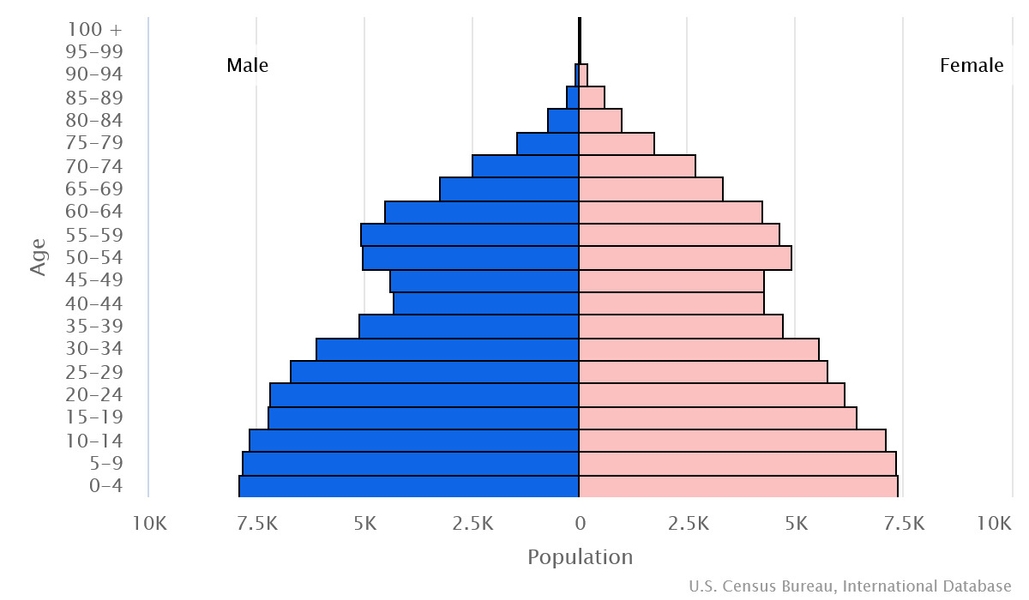 2023 population pyramid