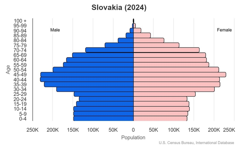 2024 population pyramid