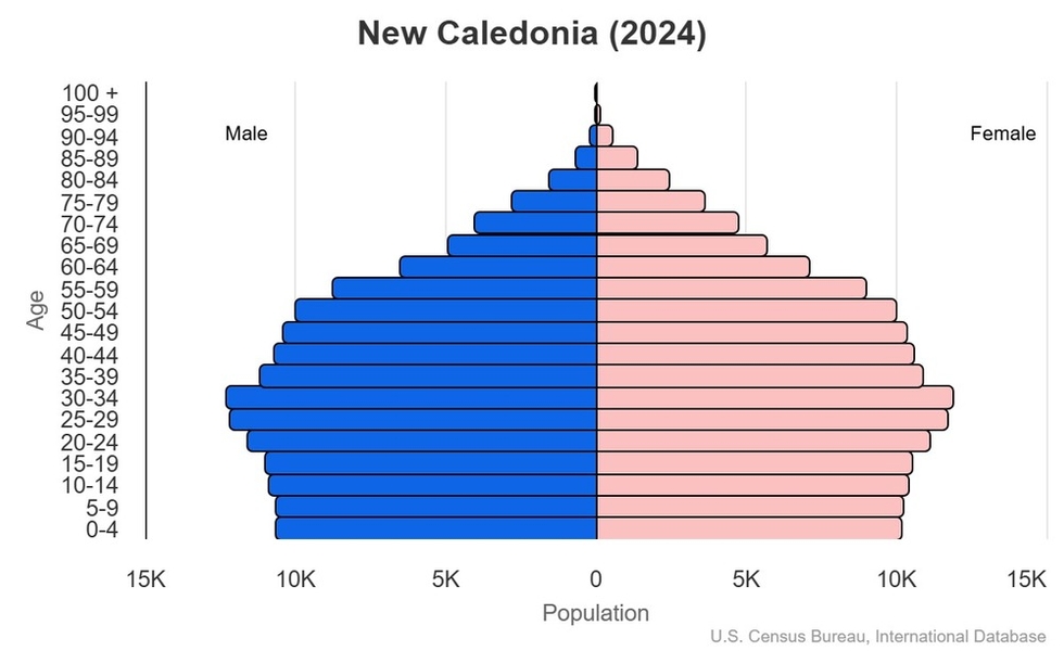 2024 population pyramid