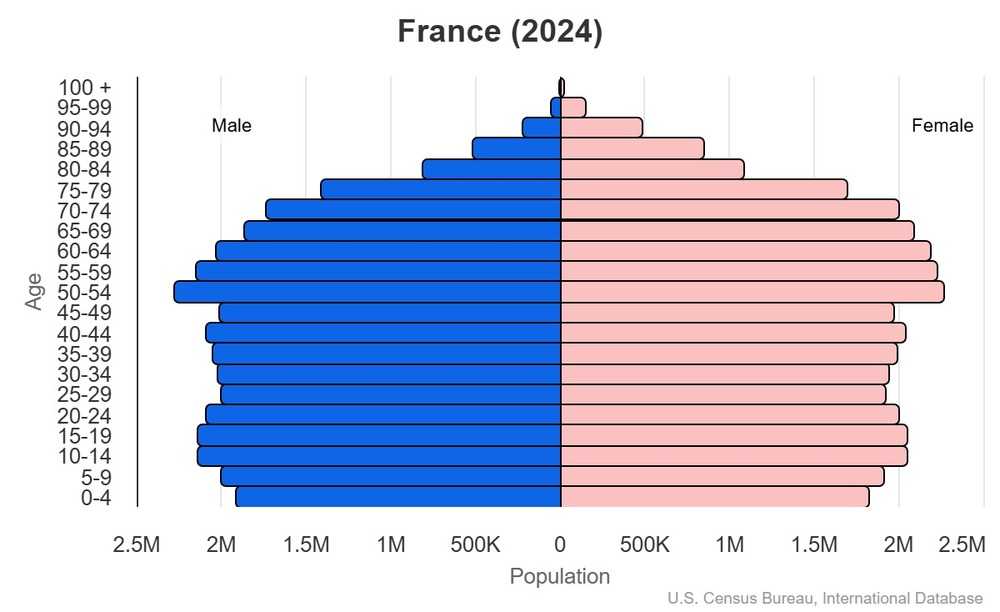 2024 population pyramid