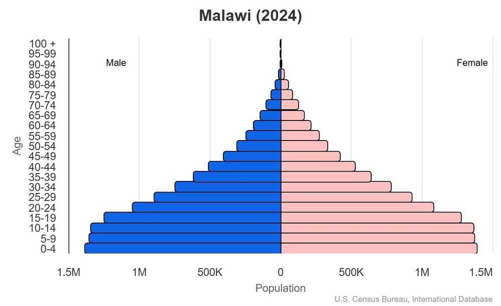 2024 population pyramid
