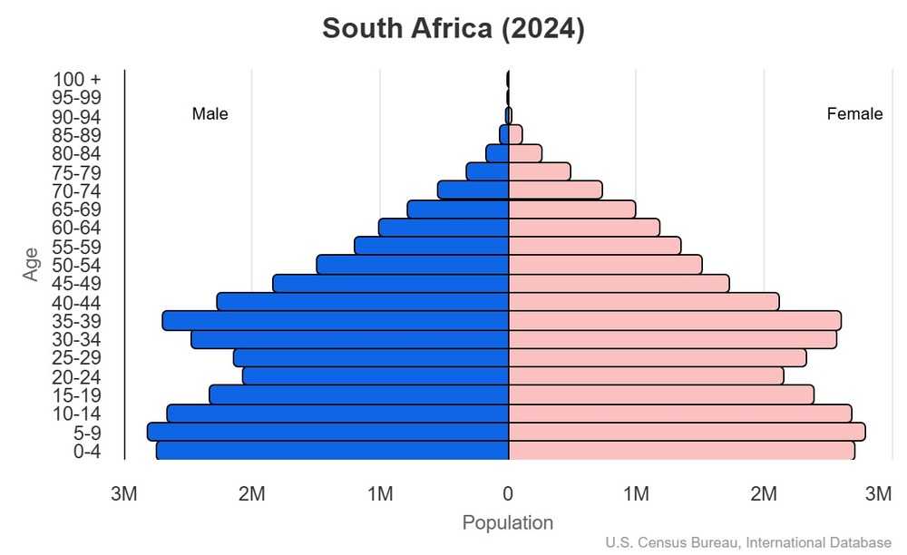 2024 population pyramid