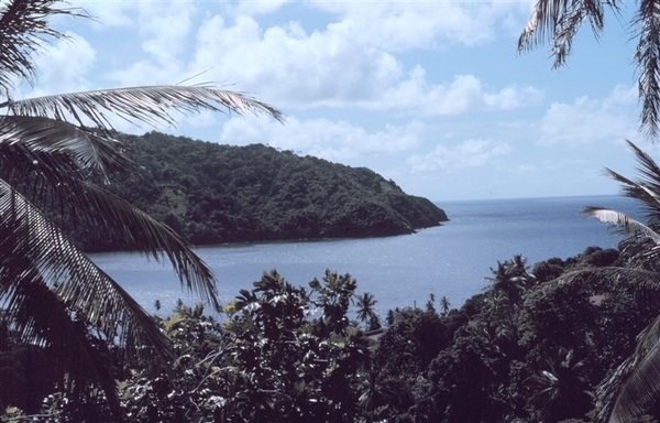 A view of Man-of-War Bay at Charlottesville, along the northern shore of Tobago. The large, horseshoe-shaped bay is fringed by a palm-studded, golden-sand beach with fine swimming. Photo courtesy of NOAA / Anthony R. Picciolo.