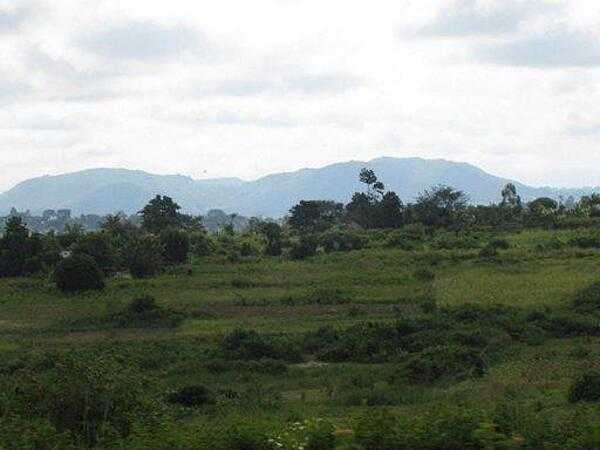 Mount Elgon is an extinct shield volcano on Uganda's border with Kenya. Two national parks, one on each side of the border, protect the area around the mountain.