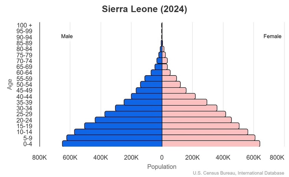 2024 population pyramid