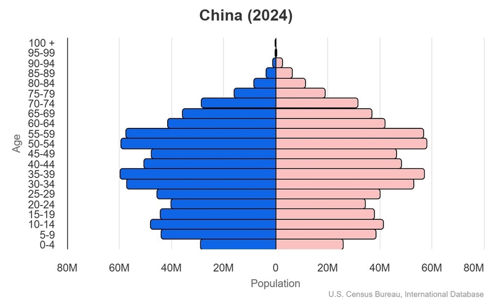 2024 population pyramid