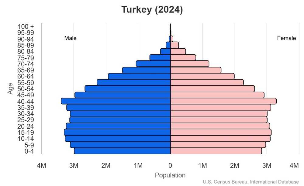 2024 population pyramid