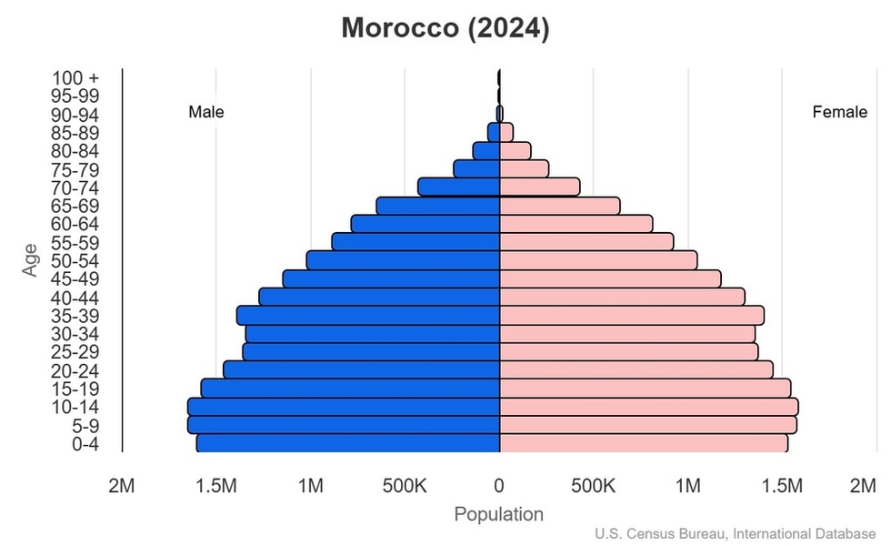 2024 population pyramid