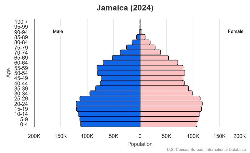 2024 population pyramid