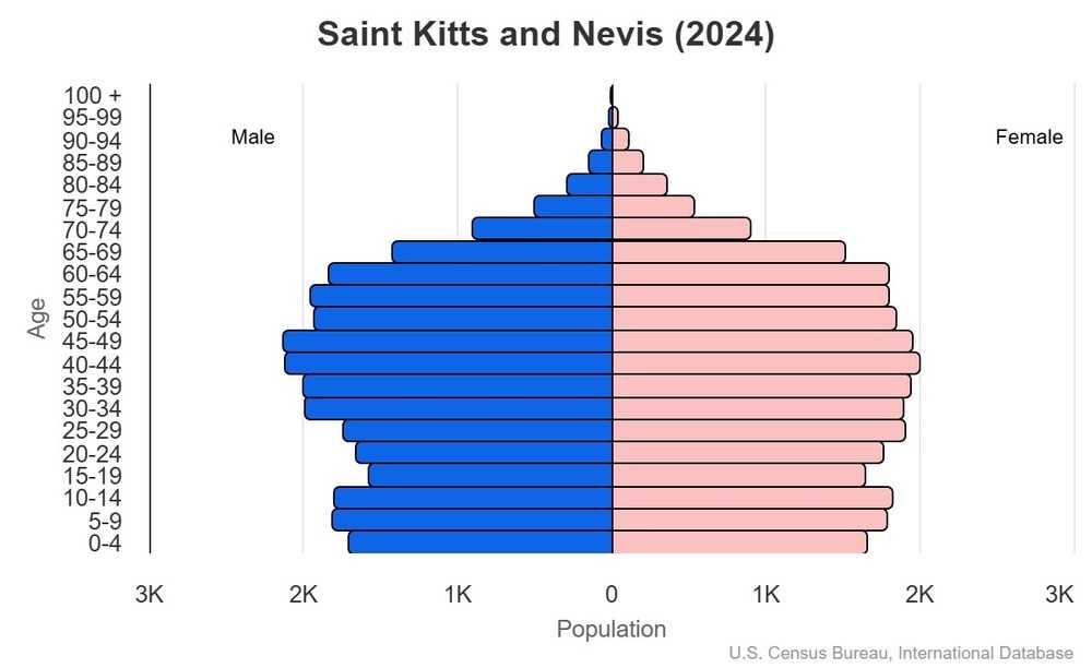 2024 population pyramid