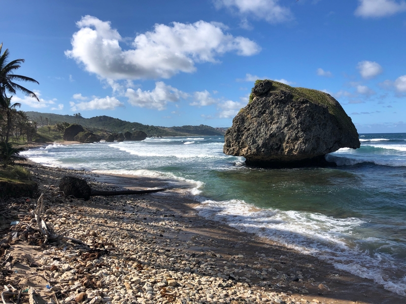 Bathsheba Beach is a popular surfing spot along the rugged east coast of Barbados. Limestone formations dot the coastline, providing a stark contrast to the clear waters.