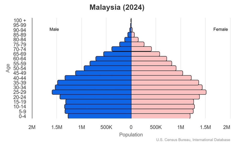 2024 population pyramid