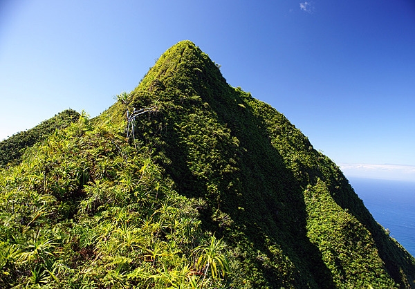 Located on one side of Pago Pago Harbor, Matafao Peak is one of five great masses of volcanic rock that were extruded as molten magma during the major episodes of volcanism that created Tutuila island. Matafao Peak is the highest mountain on the island. Shown is the peak of Matafao Peak. Photo courtesy of the US National Park Service.