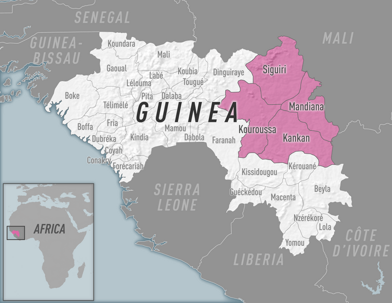 Diphtheria outbreak in Guinea.