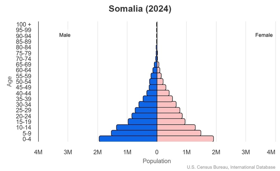 2024 population pyramid