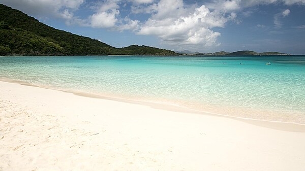 Snow white beach on Saint John.  At 50 sq km, Saint John is the smallest of the three main US Virgin Islands. Approximately 60% of the island is protected as Virgin Islands National Park. Photo courtesy of the US National Park Service.