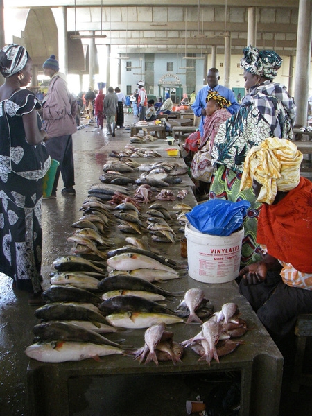 Various fish species are available at the Central Fish Market in Dakar. Photo courtesy of NOAA.