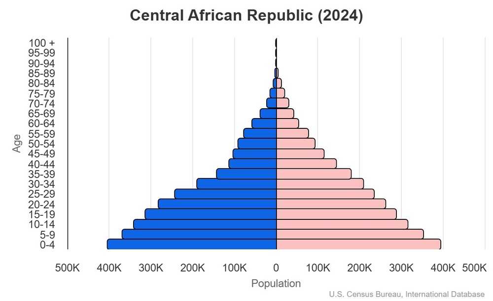 2024 population pyramid