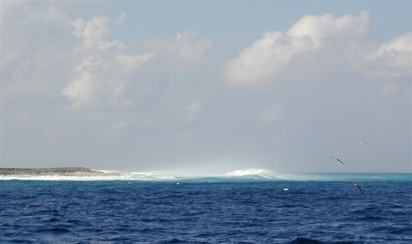 Surf pounding the Clipperton Island shore. Photo courtesy of NOAA / Shannon Rankin.