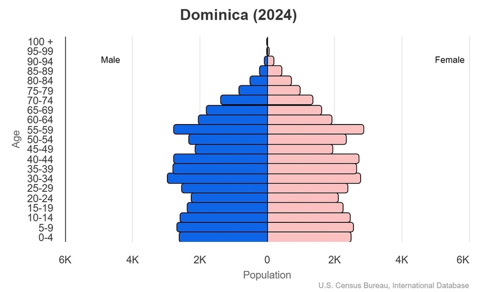 2024 population pyramid
