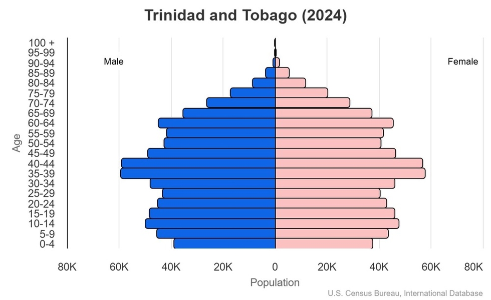 2024 population pyramid