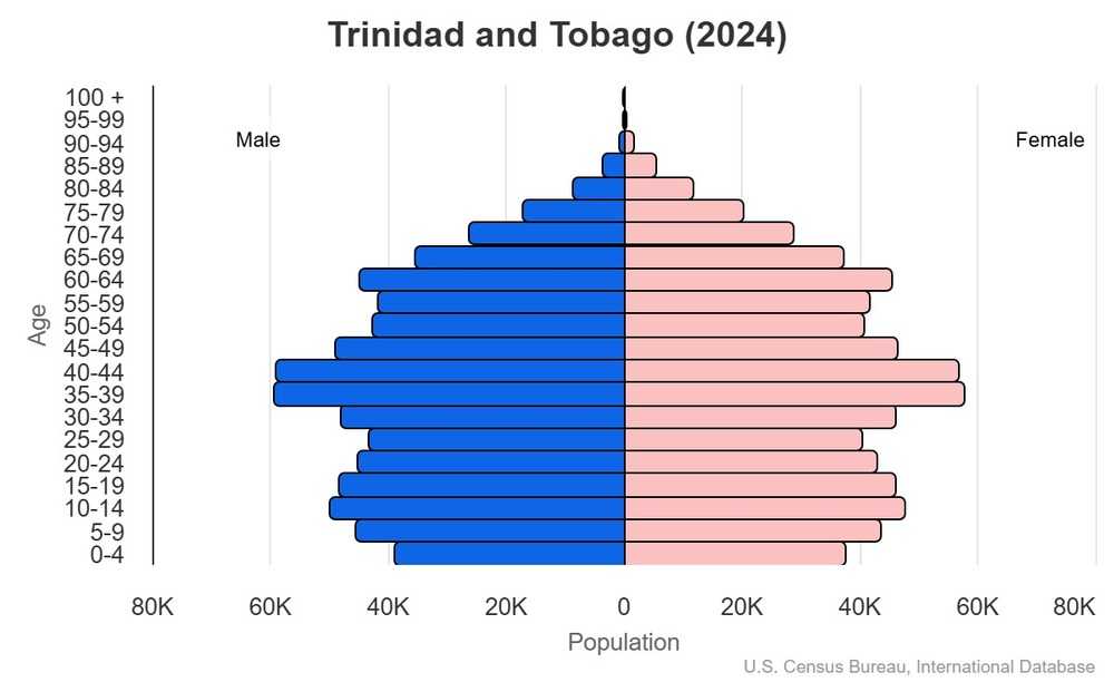 2024 population pyramid