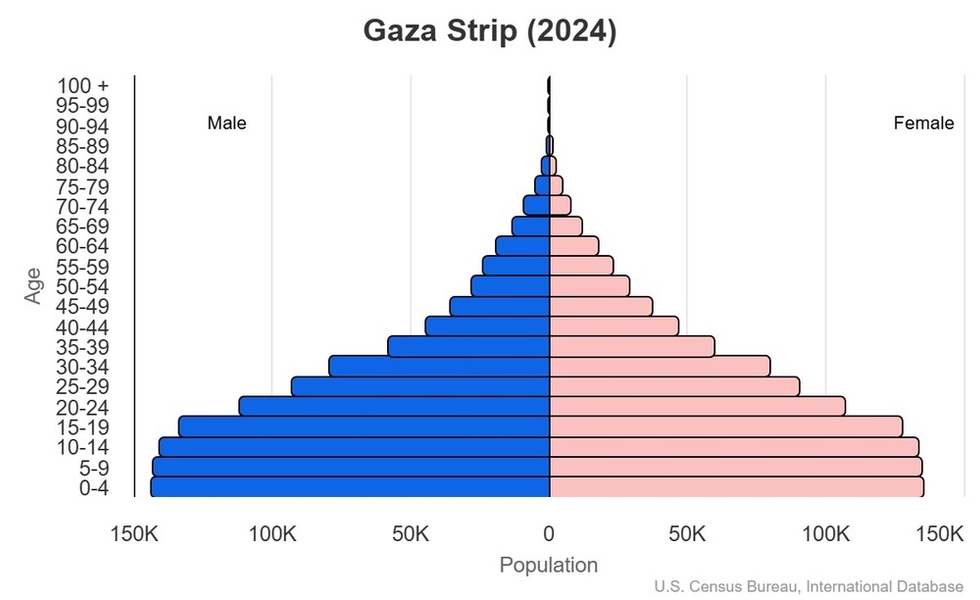 2024 population pyramid
