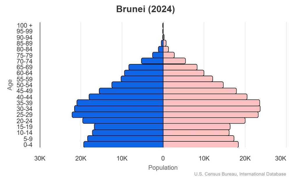 2024 population pyramid