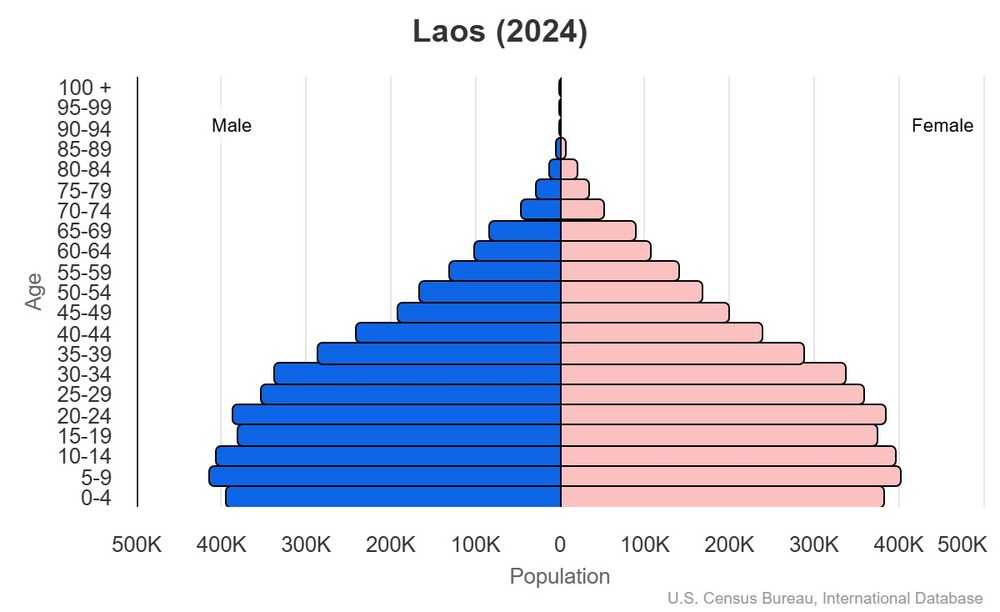 2024 population pyramid