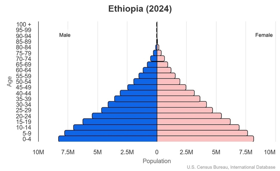 2024 population pyramid
