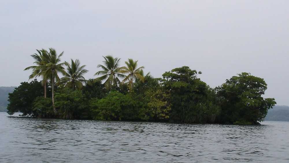 The Solomon Islands are located in the South Pacific Ocean, and the group’s East Rennell Island (pictured) in the southernmost part is one of the world’s largest raised coral atolls. The island measures 86 km long (53 mi) and 15 km (9.3 mi) wide and is covered with dense forest.